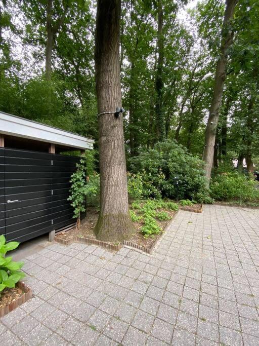 Duinhoek: Luxe Studio, Prachtig En Rustig Gelegen Zeist Ngoại thất bức ảnh